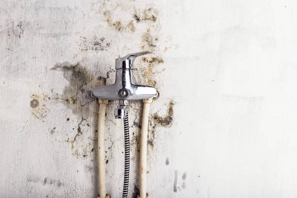 Fort Hall, ID Mold Removal Company
