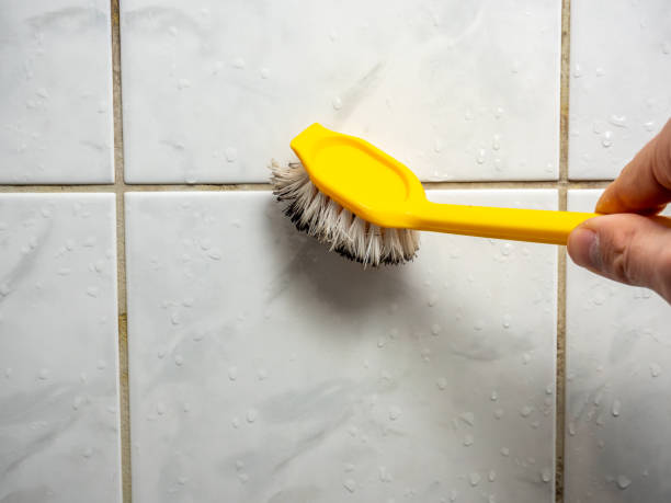 Best Mold Remediation  in Fort Hall, ID