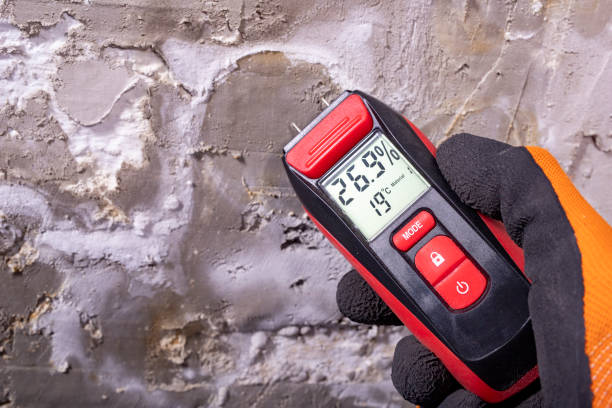 Best Toxic Mold Removal  in Fort Hall, ID