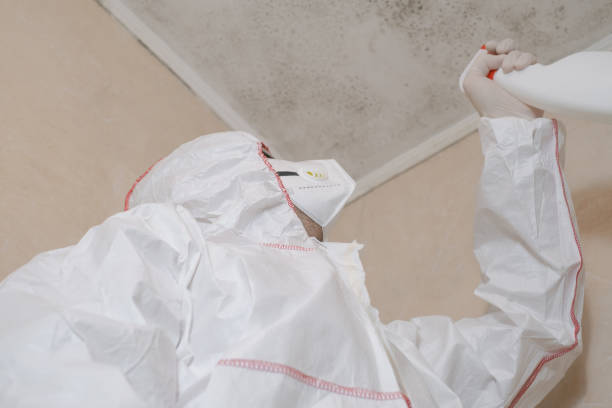 Best Crawl Space Mold Removal  in Fort Hall, ID